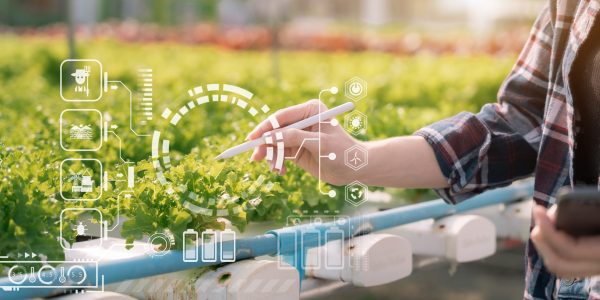 Agricultural technology farmer woman using tablet computer analyzing data and morning image icon.